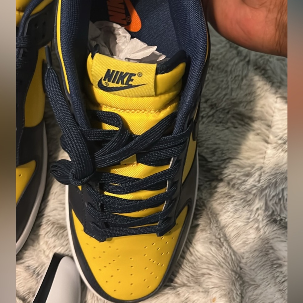 Michigan Dunks - image 2